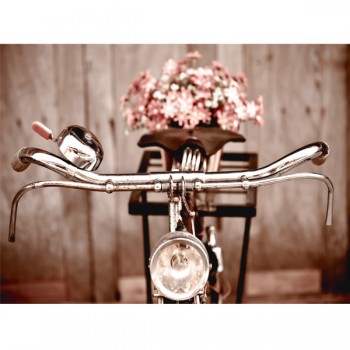 Картина АGL1-038 в раме 30*40*4,5 глянцевая Велосипед с цветами