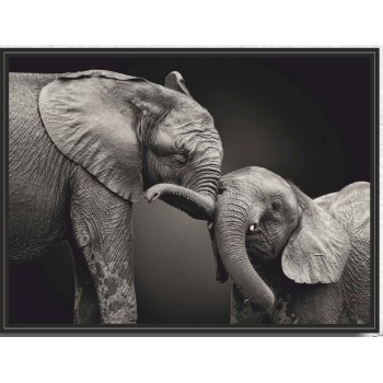 Картина PGL-107 в раме ПВХ 30*40*4,5 глянцевая Слон со слоненком