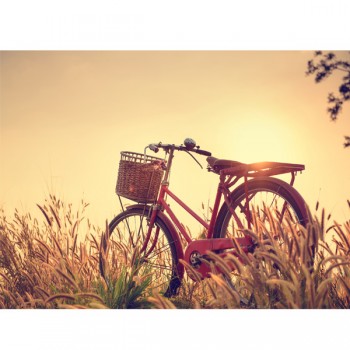 Картина АGL1-034 в раме 30*40*4,5 глянцевая Велосипед