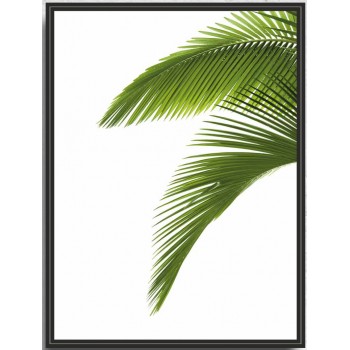 Картина PGL-109 в раме ПВХ 30*40*4,5 глянцевая Листья пальмы