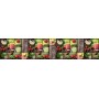 Панель декоративная матовая 2440х600х4 мм Фруктово-ягодный микс PM 011 (кухонный фартук МДФ) 